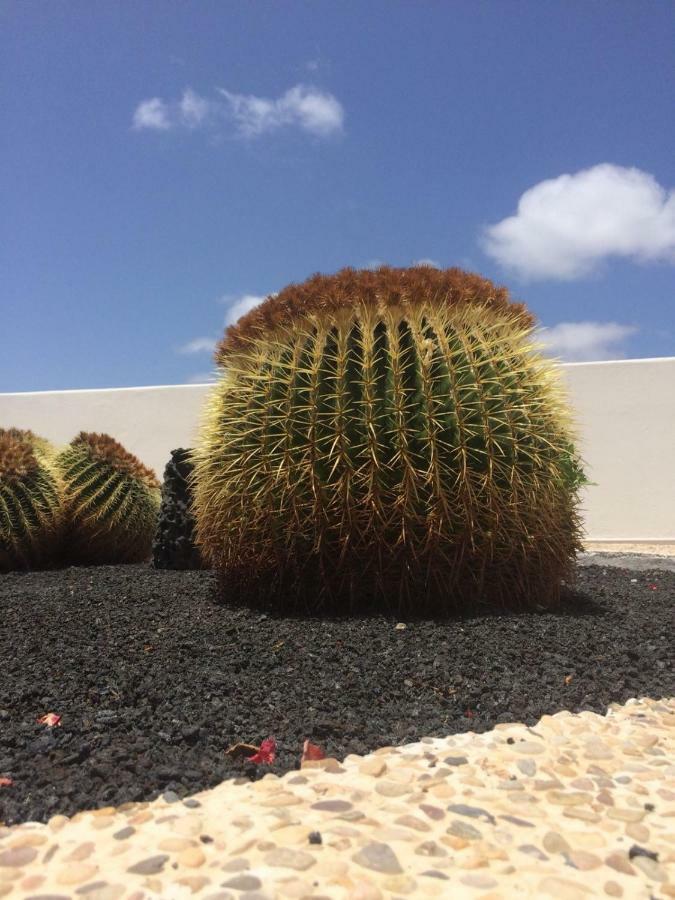 Los Panelos B1 푸에르토 델 카르멘 외부 사진
